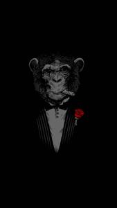 A Dark, Mysterious Scene amoled wallpaper