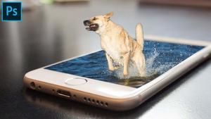 a dog jumping into the water on a phone Wallpaper