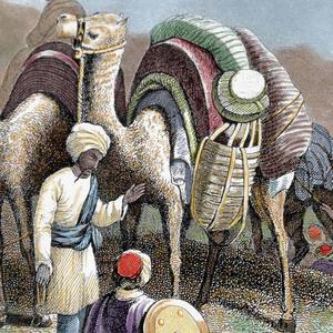 a drawing of men with camels and drums trading wallpaper