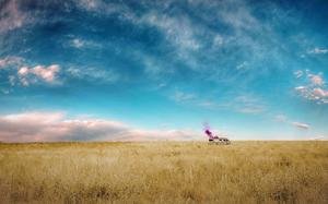 a field of grass pubg wallpaper