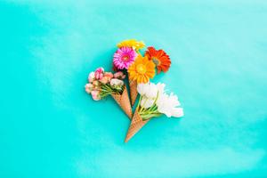 A field of vibrant blue flowers, lighting up Spring time spring desktop wallpaper