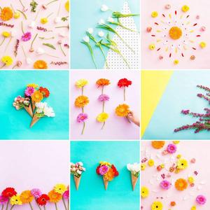 A Fresh Start with a Delicate Flower Decoration spring desktop wallpaper
