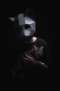 A fun and unique 3D low-poly cat mask Wallpaper