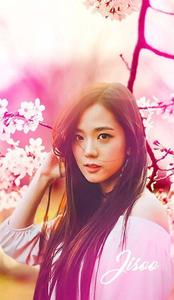 a girl with long hair and pink flowers blackpink wallpaper