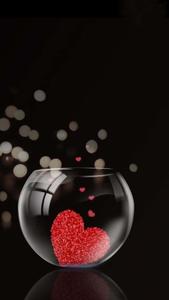 a glass bowl with red hearts floating in it whatsapp dp wallpaper
