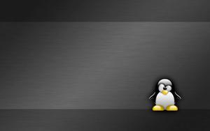 A glimpse into the world of Linux linux wallpaper