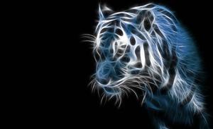 A Gorgeous Cool Glow of Tiger Art cool wallpaper