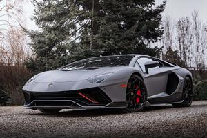 a gray lamborghini parked in front of a tree lamborghini wallpaper