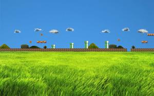 a green field with a lot of grass and clouds windows xp wallpaper