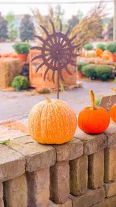 a group of pumpkins are sitting on a stone wall fall aesthetic wallpaper