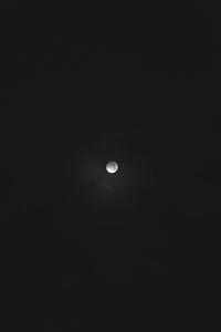 A Harvest Moon Rising in the Night Sky moon wallpaper