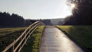 A Horse Taking a Rest in Its Fence horse wallpaper