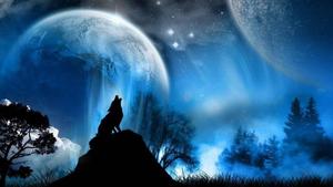 A Howling Wolf Painting wolf wallpaper