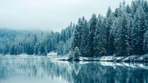a lake with trees and snow on it forest wallpaper