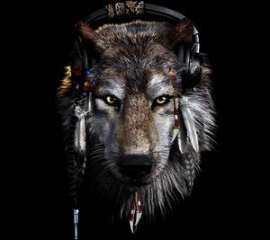 A lone wolf stands on a barren landscape, watching over the landscape like a guard. wolf wallpaper