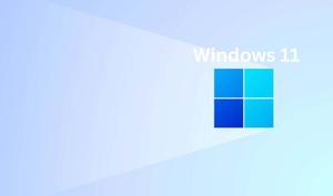 A Look at Windows 11 windows 11 wallpaper