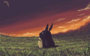 A Magical Sunset in the Field with Totoro totoro wallpaper