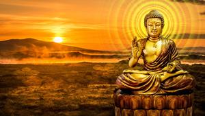 A majestic gold buddha statue glistens in the evening sun buddha wallpaper