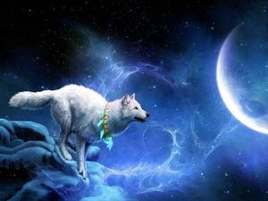 A majestic white wolf howling at a full moon. wolf wallpaper