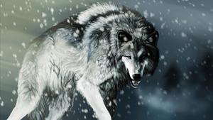 A majestic wolf taking in a winter wonderland wolf wallpaper