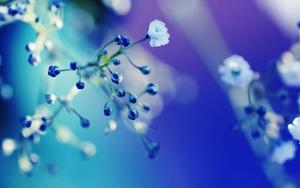 A misty blue landscape with mysterious mountains. blue aesthetic wallpaper