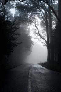 A Mysterious Enchantment: The Alluring Beauty of Darkness dark wallpaper
