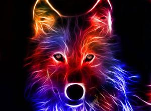 A mysterious glowing wolf stands in the night cool wallpaper