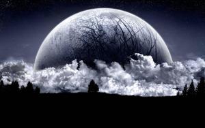 A mystical forest is illuminated by the half-moon over the eerie trees moon wallpaper