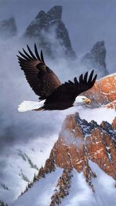 a painting of an eagle flying over a mountain Wallpaper