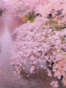 A Pastel Dreamscape pastel aesthetic wallpaper