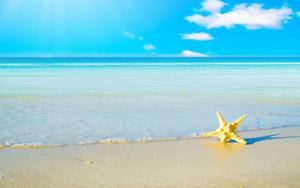 A peaceful day at the beach - a starfish and the sand in summer bliss summer wallpaper