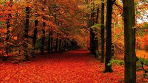A peaceful fall afternoon in the countryside fall wallpaper