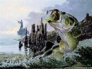 A peaceful morning of bass fishing in a crystal clear lake fishing wallpaper