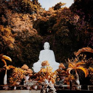 A peaceful White Buddha Statue in Nature buddha wallpaper