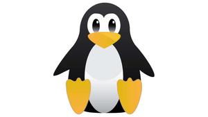 a penguin is standing on a white background linux wallpaper