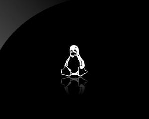 a penguin logo on a black background linux wallpaper