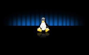 a penguin standing on a black background linux wallpaper