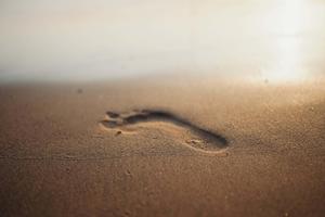 A perfect summer day enjoying the sun and relaxation. beach wallpaper