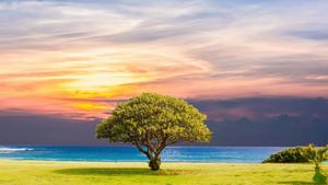 A perfect summer day to unwind on the beach. summer wallpaper
