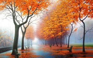 A picturesque view of autumn trees in full blaze of color. beautiful wallpaper