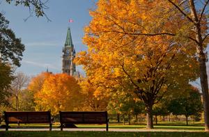 A postcard-perfect view of a Fall day. fall wallpaper