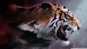 A powerful and regal portrait of a raging tiger. tiger wallpaper