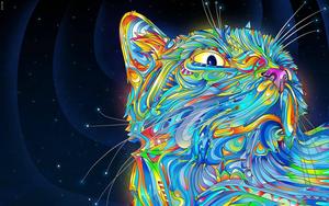 A rainbow of purr-fection trippy wallpaper