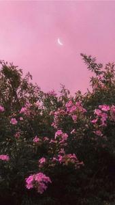 A refreshing, cool pink aesthetic pink cool aesthetic wallpaper