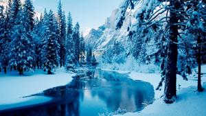 a river is covered in snow and trees forest wallpaper