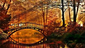 A romantic walk on a bridge during the Fall season fall wallpaper