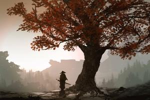 A Samurai Prepares For Battle Under An Autumn Tree samurai wallpaper
