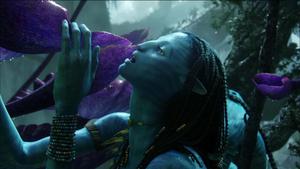 A scene from Avatar - "You Don't Dream in Cryo" avatar wallpaper