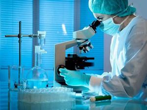 Wissenschaftler in einem Labor