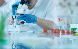 a scientist is working in a laboratory with a microscope Wallpaper